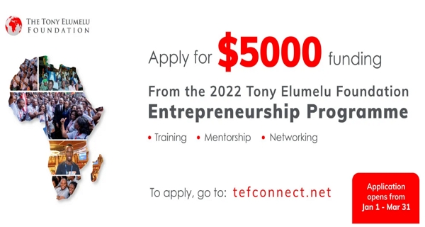 Tony Elumelu Foundation