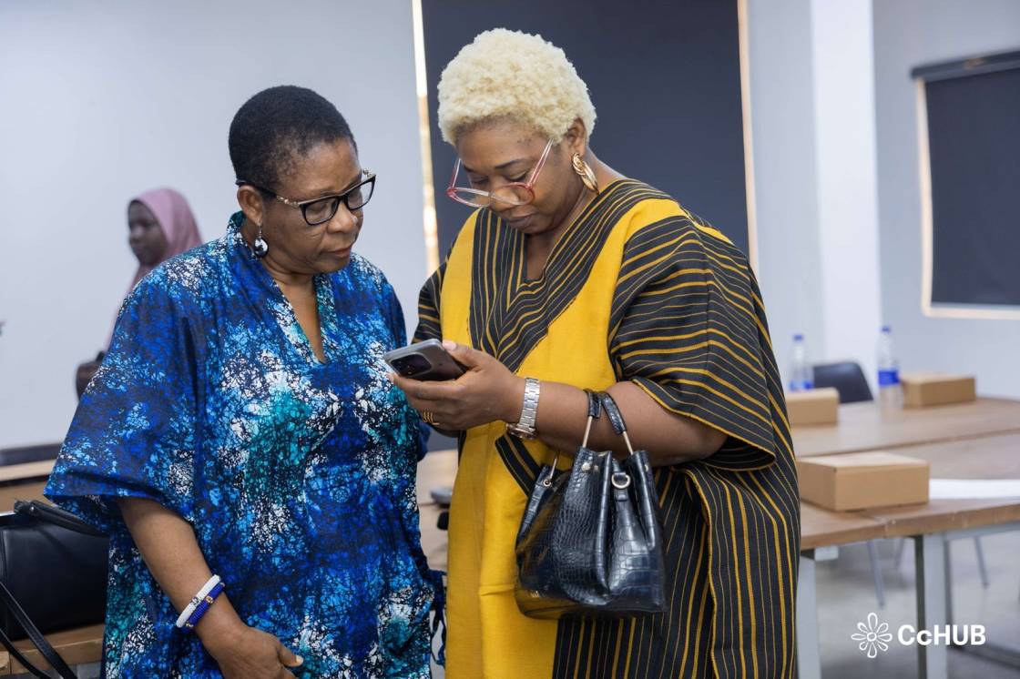 Nigeria 2027 general elections